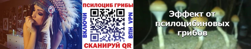 Галлюциногенные грибы GOLDEN TEACHER  Городище 